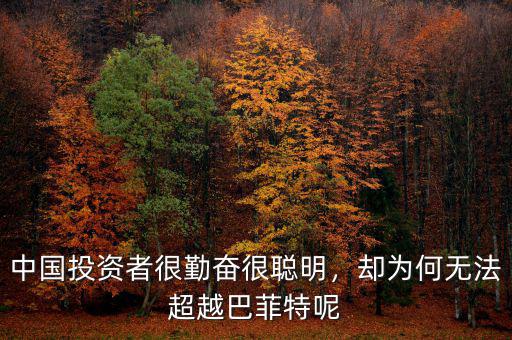 中國投資者很勤奮很聰明，卻為何無法超越巴菲特呢