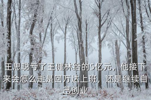 王思聰虧了王健林給的5億元，他接下來會怎么走是回萬達(dá)上班，還是繼續(xù)自己創(chuàng)業(yè)
