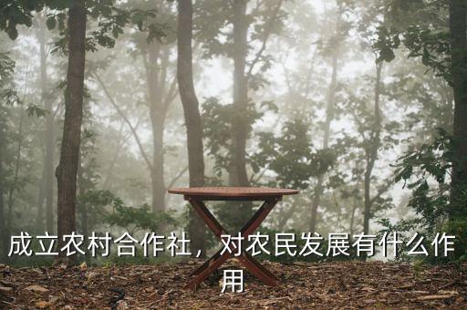 成立農(nóng)村合作社，對農(nóng)民發(fā)展有什么作用