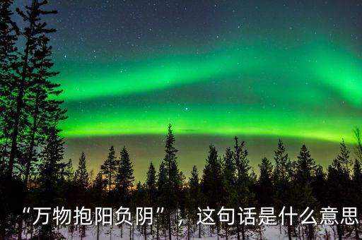 “萬物抱陽負陰”，這句話是什么意思