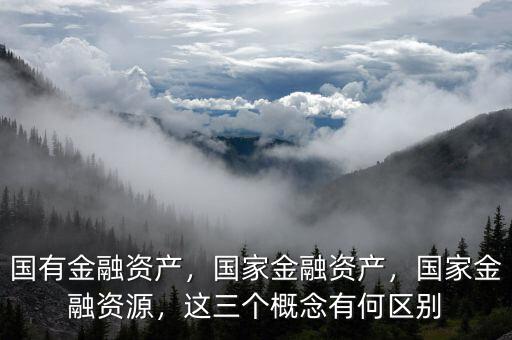 國有金融資產(chǎn)，國家金融資產(chǎn)，國家金融資源，這三個概念有何區(qū)別