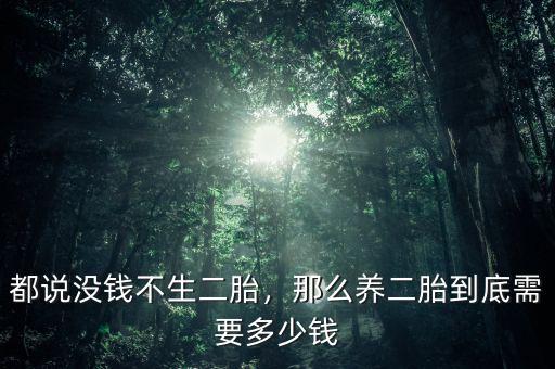 都說沒錢不生二胎，那么養(yǎng)二胎到底需要多少錢