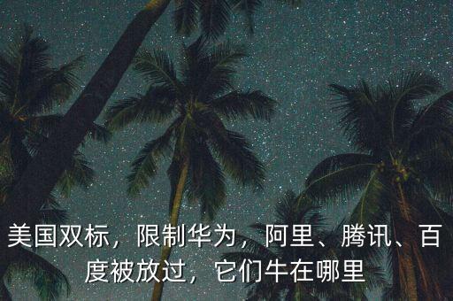 美國雙標(biāo)，限制華為，阿里、騰訊、百度被放過，它們牛在哪里