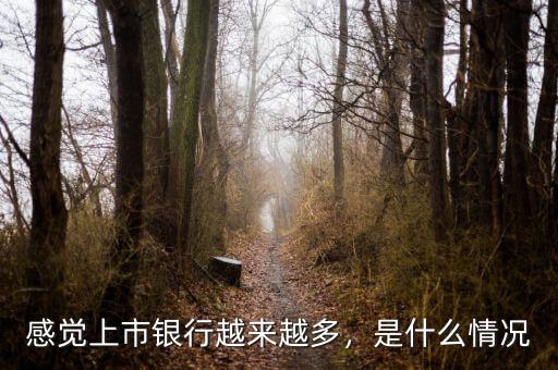 感覺(jué)上市銀行越來(lái)越多，是什么情況