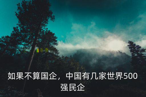如果不算國(guó)企，中國(guó)有幾家世界500強(qiáng)民企