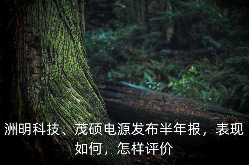 洲明科技、茂碩電源發(fā)布半年報，表現(xiàn)如何，怎樣評價