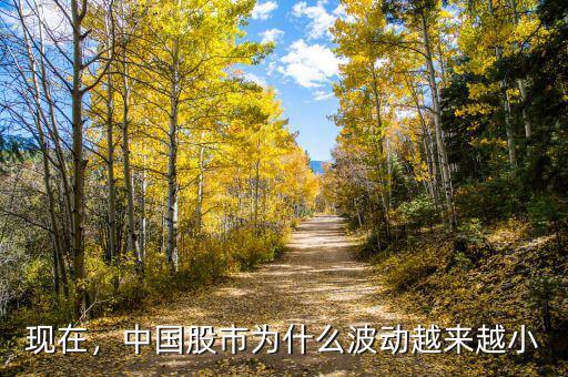 現(xiàn)在，中國股市為什么波動越來越小