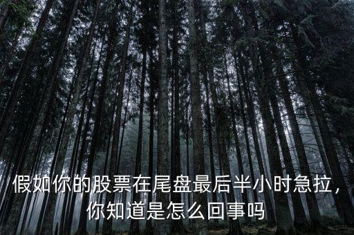 假如你的股票在尾盤最后半小時(shí)急拉，你知道是怎么回事嗎