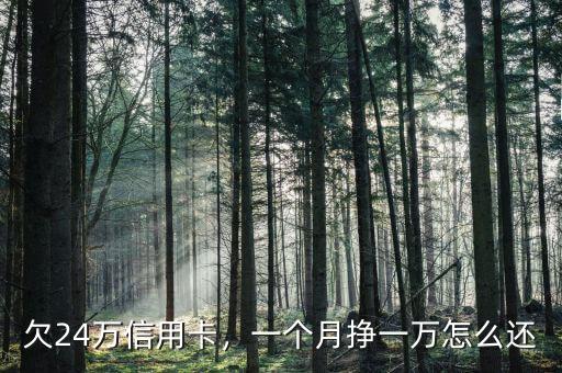 欠24萬信用卡，一個月掙一萬怎么還