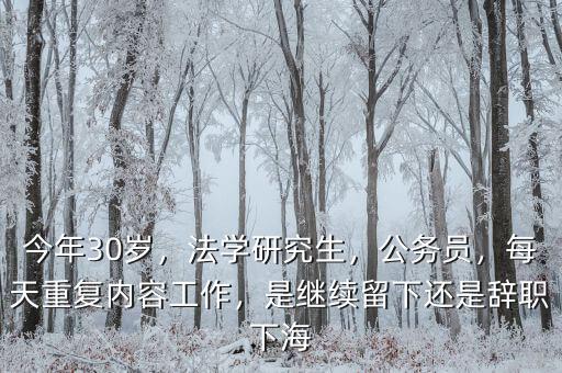 今年30歲，法學(xué)研究生，公務(wù)員，每天重復(fù)內(nèi)容工作，是繼續(xù)留下還是辭職下海