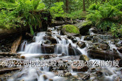 渾水公司做空某股票，它是怎么借的股票