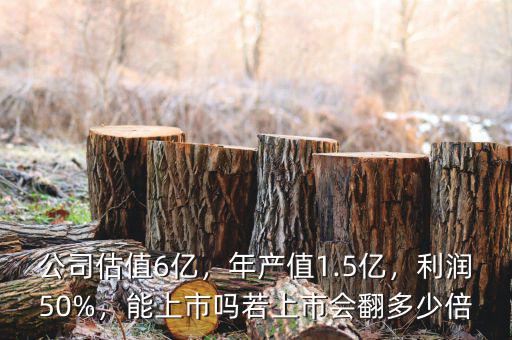 公司估值6億，年產(chǎn)值1.5億，利潤(rùn)50%，能上市嗎若上市會(huì)翻多少倍