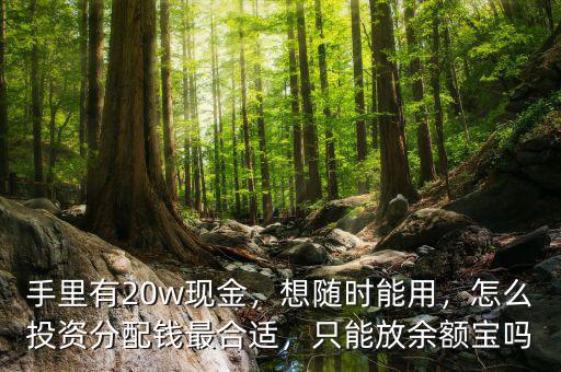 手里有20w現(xiàn)金，想隨時能用，怎么投資分配錢最合適，只能放余額寶嗎