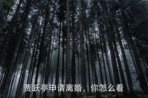 賈躍亭申請離婚，你怎么看