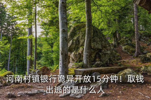 河南村鎮(zhèn)銀行詭異開放15分鐘！取錢出逃的是什么人