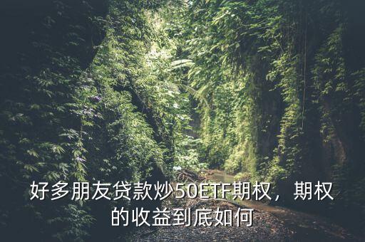好多朋友貸款炒50ETF期權(quán)，期權(quán)的收益到底如何