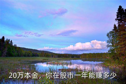 20萬(wàn)本金，你在股市一年能賺多少
