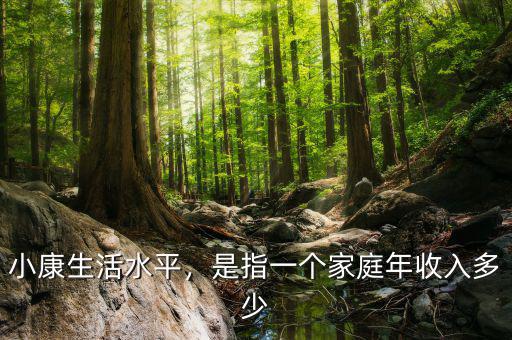 小康生活水平，是指一個(gè)家庭年收入多少