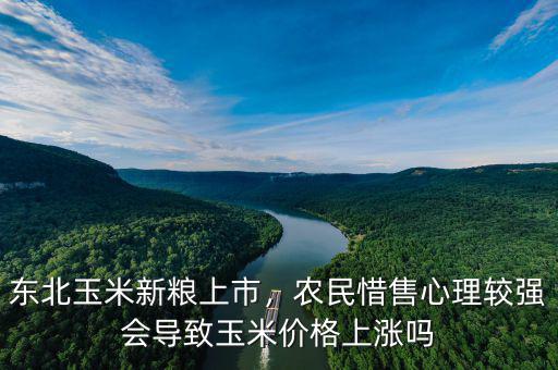 東北玉米新糧上市，農(nóng)民惜售心理較強(qiáng)會(huì)導(dǎo)致玉米價(jià)格上漲嗎