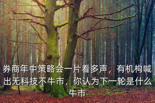 券商年中策略會(huì)一片看多聲，有機(jī)構(gòu)喊出無(wú)科技不牛市，你認(rèn)為下一輪是什么牛市