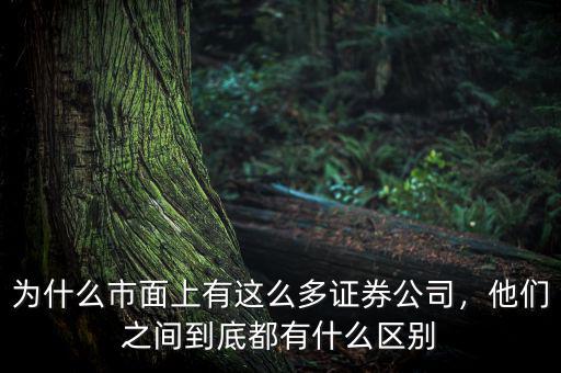 為什么市面上有這么多證券公司，他們之間到底都有什么區(qū)別