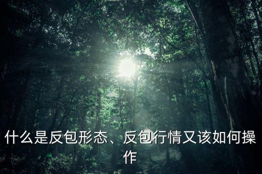 什么是反包形態(tài)、反包行情又該如何操作