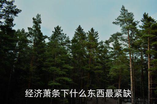 經濟蕭條什么值錢,經濟蕭條下什么東西最緊缺