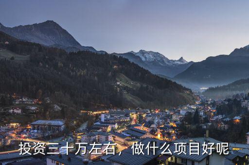 投資三十萬左右，做什么項目好呢