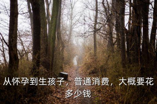 從懷孕到生孩子，普通消費(fèi)，大概要花多少錢