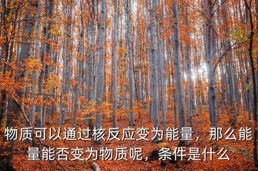 物質(zhì)可以通過核反應(yīng)變?yōu)槟芰?，那么能量能否變?yōu)槲镔|(zhì)呢，條件是什么