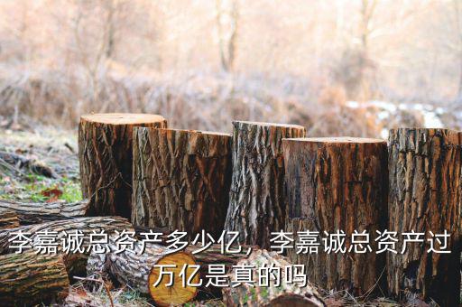 李嘉誠(chéng)總資產(chǎn)多少億，李嘉誠(chéng)總資產(chǎn)過(guò)萬(wàn)億是真的嗎
