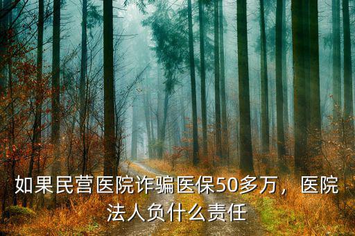 如果民營(yíng)醫(yī)院詐騙醫(yī)保50多萬(wàn)，醫(yī)院法人負(fù)什么責(zé)任