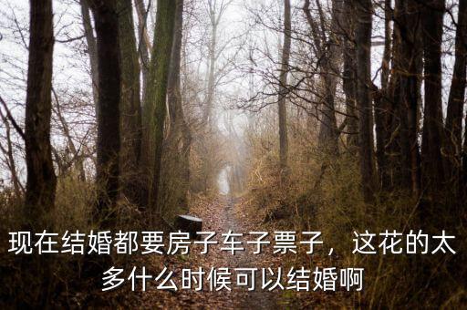 現(xiàn)在結(jié)婚都要房子車子票子，這花的太多什么時(shí)候可以結(jié)婚啊