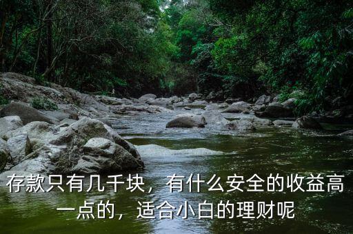 存款只有幾千塊，有什么安全的收益高一點(diǎn)的，適合小白的理財(cái)呢