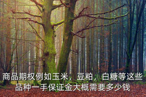商品期權(quán)例如玉米，豆粕，白糖等這些品種一手保證金大概需要多少錢(qián)