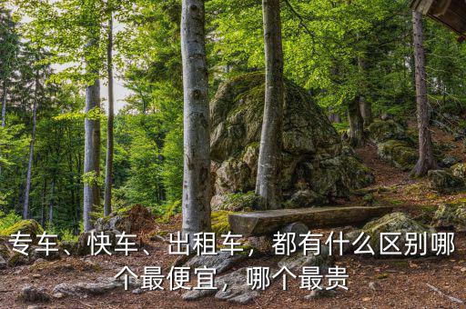 專車、快車、出租車，都有什么區(qū)別哪個最便宜，哪個最貴