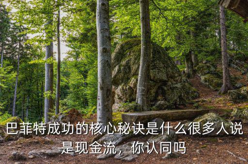 巴菲特成功的核心秘訣是什么很多人說是現(xiàn)金流，你認同嗎