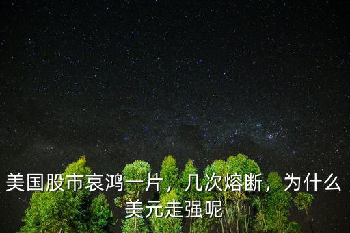 美國股市哀鴻一片，幾次熔斷，為什么美元走強呢