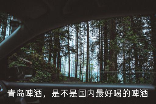 青島啤酒，是不是國內(nèi)最好喝的啤酒
