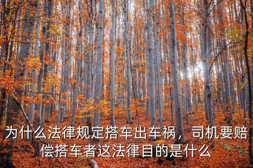 為什么法律規(guī)定搭車出車禍，司機(jī)要賠償搭車者這法律目的是什么