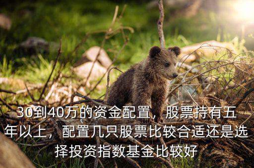 30到40萬(wàn)的資金配置，股票持有五年以上，配置幾只股票比較合適還是選擇投資指數(shù)基金比較好