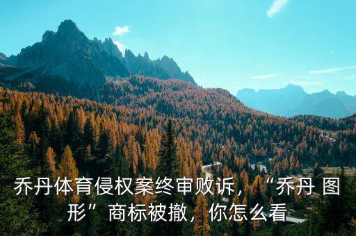 喬丹體育侵權(quán)案終審敗訴，“喬丹 圖形”商標(biāo)被撤，你怎么看