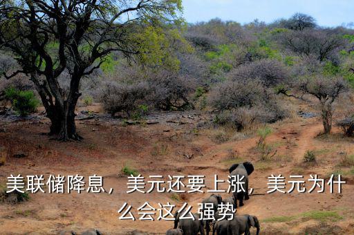 美聯(lián)儲(chǔ)降息，美元還要上漲，美元為什么會(huì)這么強(qiáng)勢