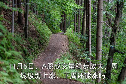 11月6日，A股成交量穩(wěn)步放大，周線級別上漲，下周還能漲嗎