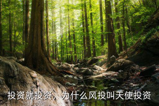 投資就投資，為什么風(fēng)投叫天使投資