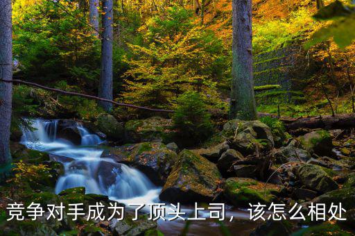 競(jìng)爭(zhēng)對(duì)手成為了頂頭上司，該怎么相處