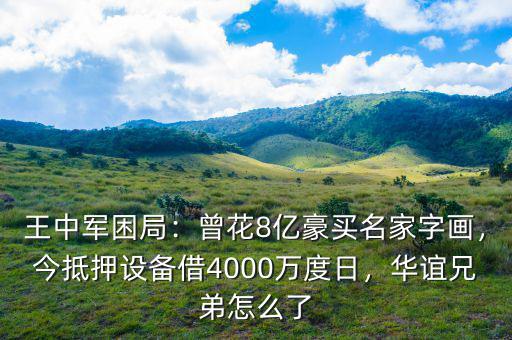 王中軍困局：曾花8億豪買名家字畫，今抵押設(shè)備借4000萬度日，華誼兄弟怎么了