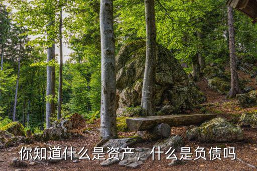 你知道什么是資產(chǎn)，什么是負(fù)債嗎