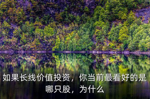如果長線價(jià)值投資，你當(dāng)前最看好的是哪只股，為什么