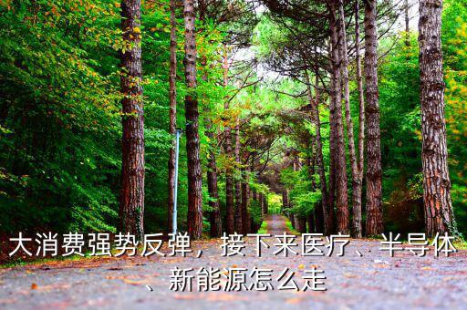 大消費(fèi)強(qiáng)勢(shì)反彈，接下來醫(yī)療、半導(dǎo)體、新能源怎么走